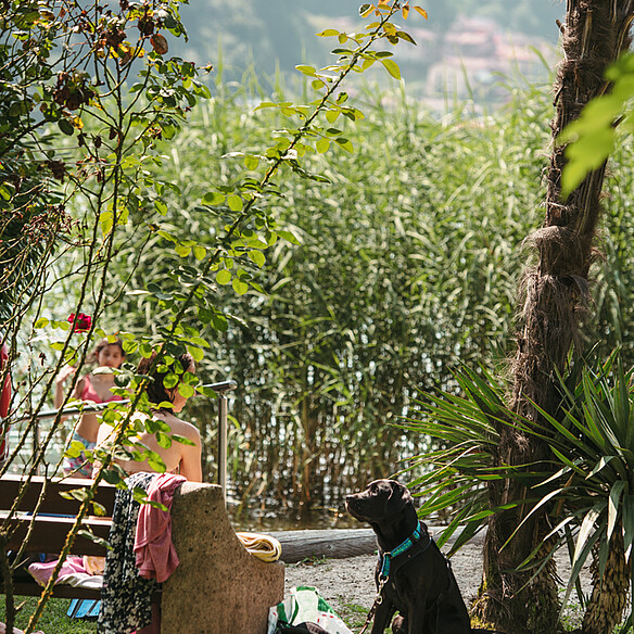 Familie Hund Centro Magliaso