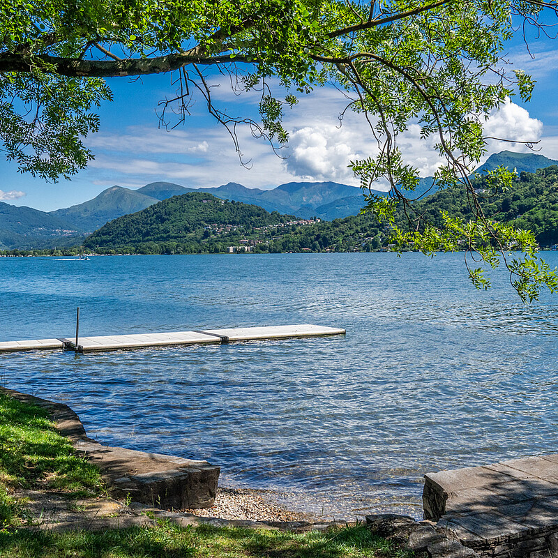 Top Weekend Special 2025